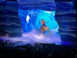 IMG_0220.jpeg