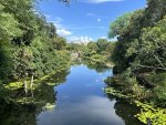 IMG_0229.jpeg