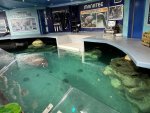 IMG_0261.jpeg