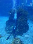 IMG_0263.jpeg