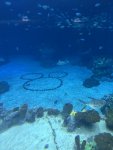 IMG_0269.jpeg