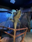 IMG_0270.jpeg