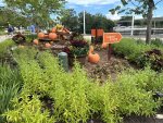 IMG_0281.jpeg