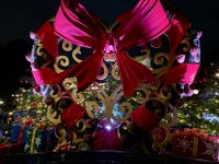 IMG_7712.jpeg