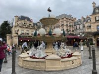 IMG_7782.jpeg