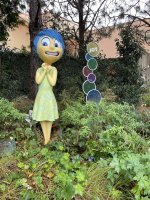IMG_7784.jpeg