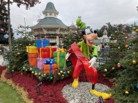 IMG_7969.jpeg