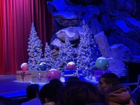 IMG_7988.jpeg