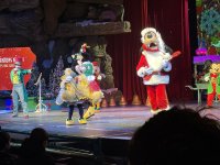IMG_8005.jpeg