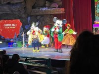 IMG_8002.jpeg