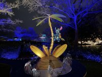 IMG_8267.jpeg