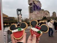 IMG_8252.jpeg
