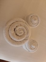 IMG20250503183903.jpg