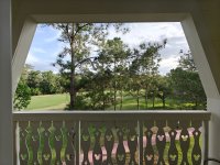 IMG20250503183728.jpg