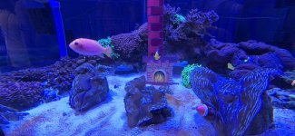 20251219_190347.jpg