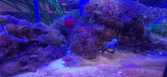 20251219_190435.jpg