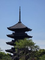 20260511_084657.jpg