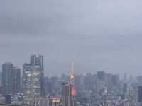 20260514_184642.jpg