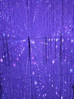 20260515_095517.jpg