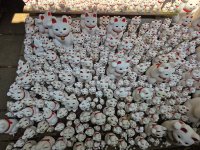 20260516_093636.jpg