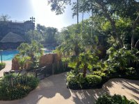 IMG_2421.jpeg