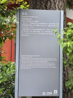 20260523_092509.jpg
