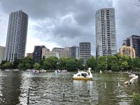 20260524_154246.jpg
