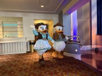 IMG_4149.jpeg