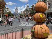 IMG_4627.jpeg