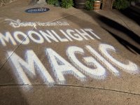 IMG_5751.jpeg