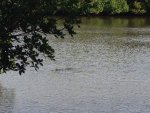 ImageUploadedByTapatalk1451688648.295817.jpg