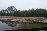 DSC01931.jpg