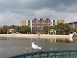 20161008_141515.jpg