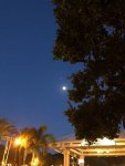 IMG_6713.JPG