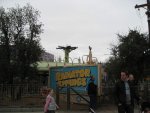 k-IMG_5449.jpg