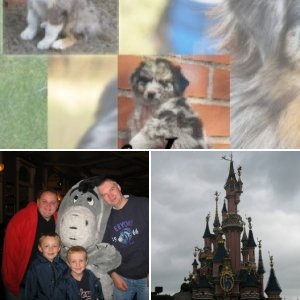 Disneyland Paris