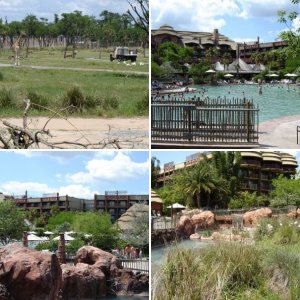 [WDW] Animal Kingdom Lodge