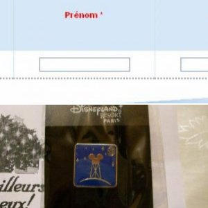 DLP guide tour Pin
