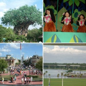Mein DisneyWorld