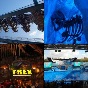 WDW Februar 2010