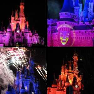 WDW - Magic Kingdom Februar / März 2010