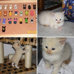 Unsere Tiere