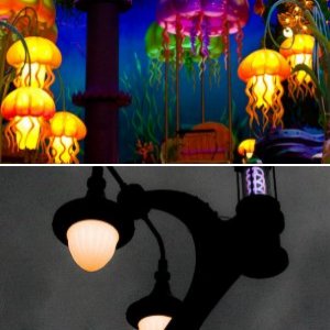 Tokyo Disney Resort 2010