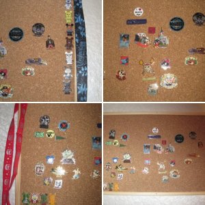 meine Pins