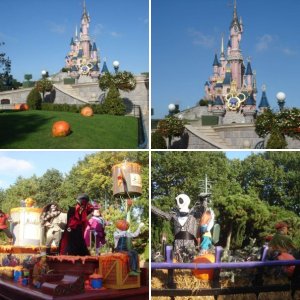 DLP 2009