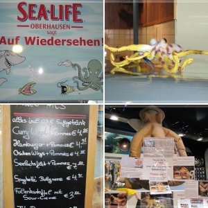 Merlin Attraktionen " Legoland Duisburg " & " Sea Life Oberhausen "