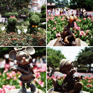 Fotos von Eeyore