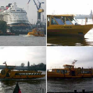 Disney Dream