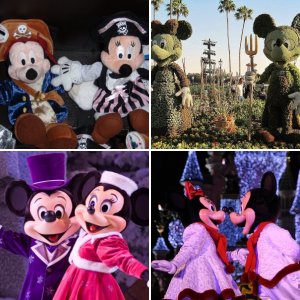 Fotowettbewerb - Mickey & Minnie - 20. bis 26. Dezember 2010