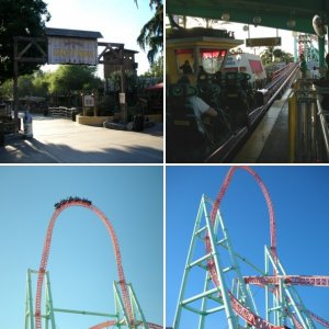 Knotts Berry Farm 2010